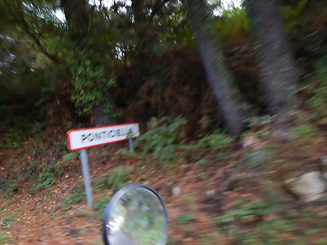 DSCN0355 DSCN0355
