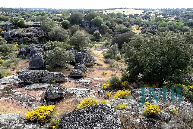 Vista Vista