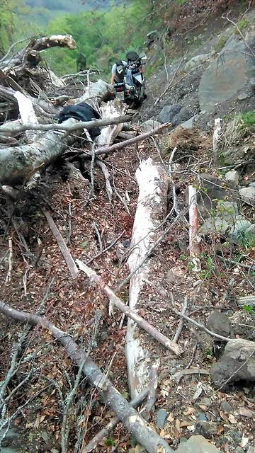 IMG-20190510-WA0018 IMG-20190510-WA0018