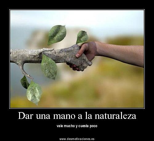 giveahandtonature168085400294