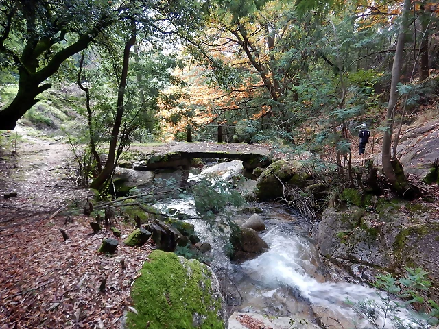 DSCN1915 DSCN1915