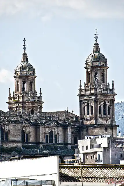 290 -REVOLOTEANDO ENTRE LAS TORRES DE LA CATEDRAL DE JAEN