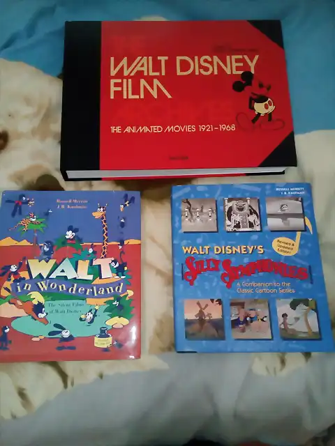 Mis libros Disney de reyes