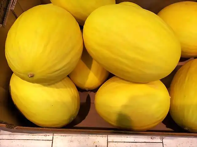 Melon amarillo canario