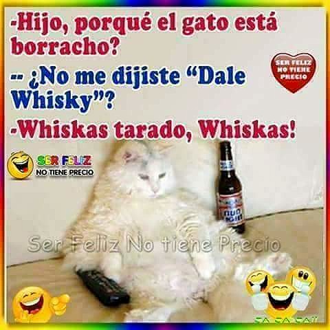 FB_IMG_1524940043994 FB_IMG_1524940043994