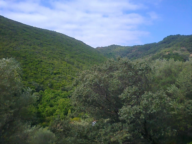 Foto0280 Foto0280
