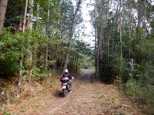 DSCN0505 DSCN0505