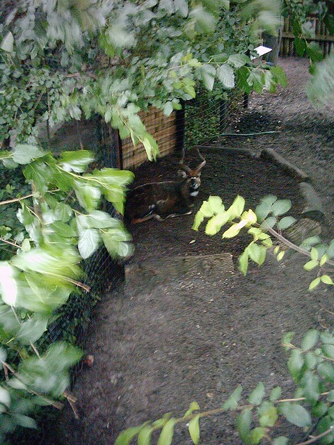 PIC03279 PIC03279