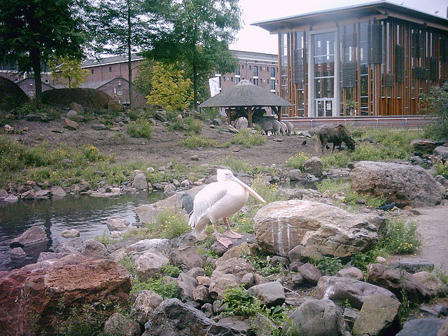 PIC03271 PIC03271