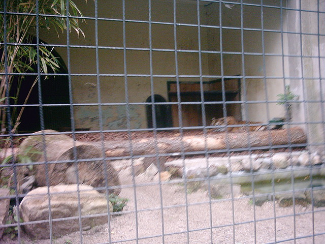 PIC03269 PIC03269