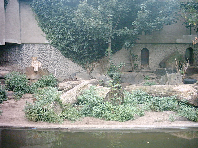 PIC03265 PIC03265