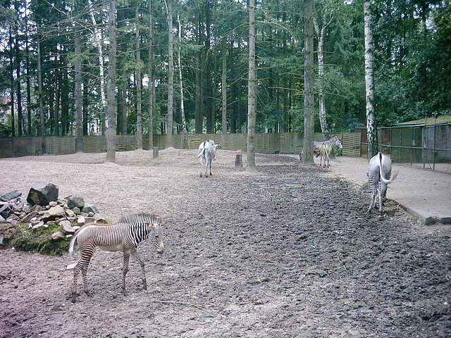 PIC03327 PIC03327