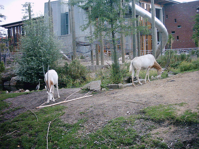 PIC03274 PIC03274