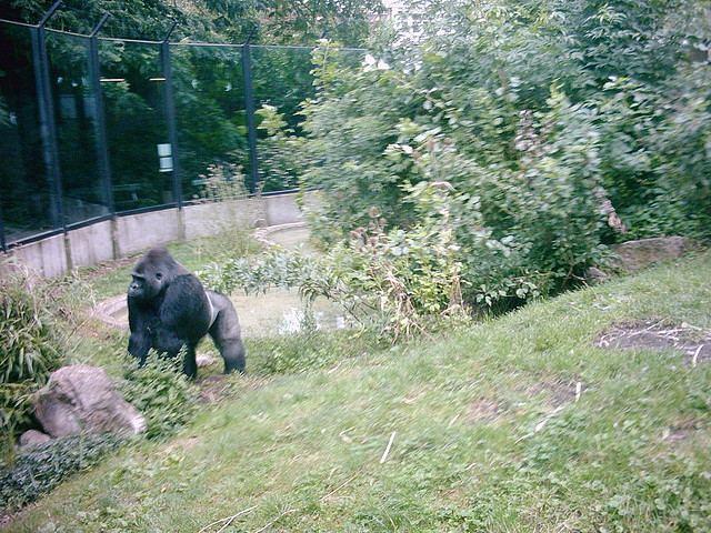 PIC03284 PIC03284