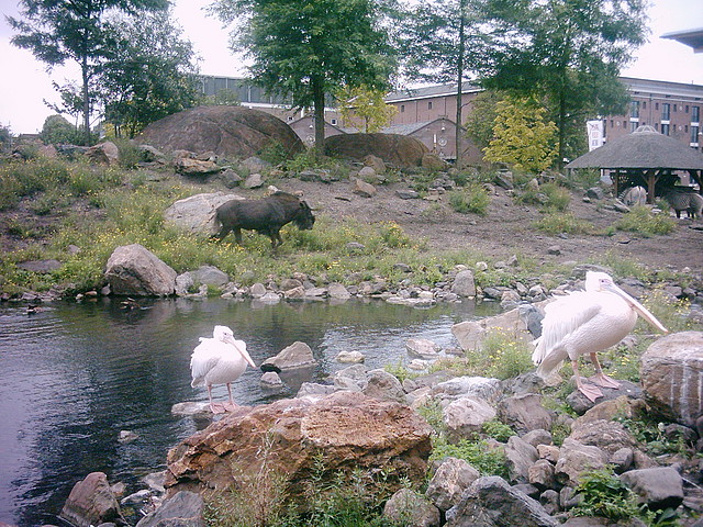 PIC03272 PIC03272