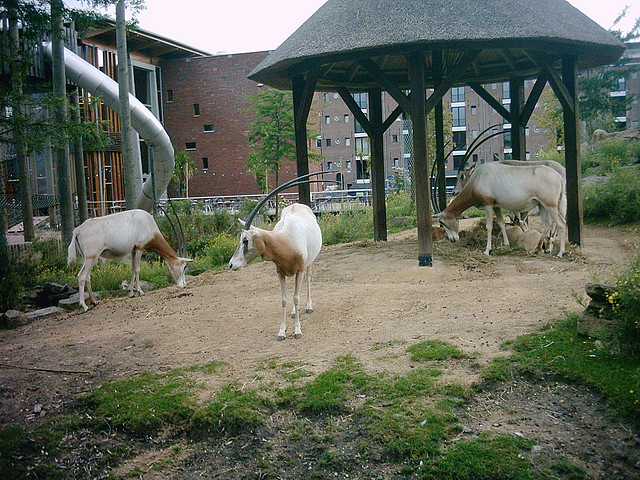 PIC03275 PIC03275