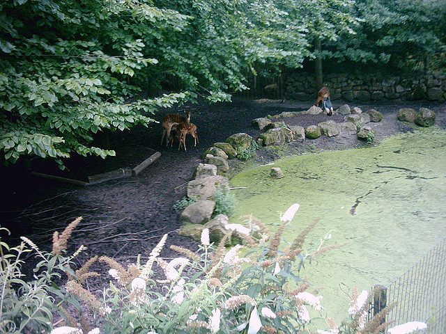 PIC03278 PIC03278
