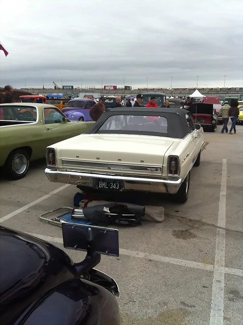 IMG_0318 IMG_0318