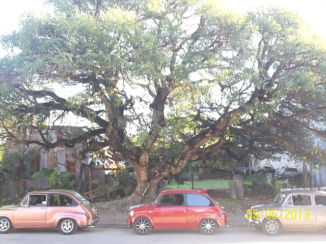 100_5427 100_5427