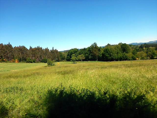 DSCN2318 DSCN2318