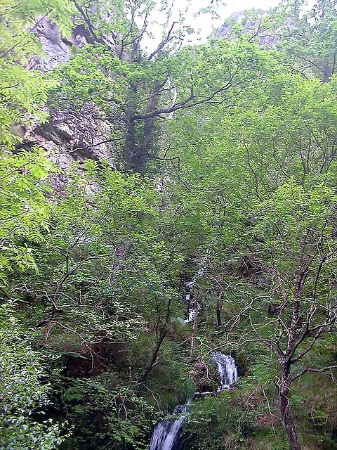 DSCN3777 DSCN3777