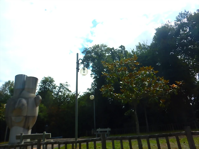 DSCN6546 DSCN6546