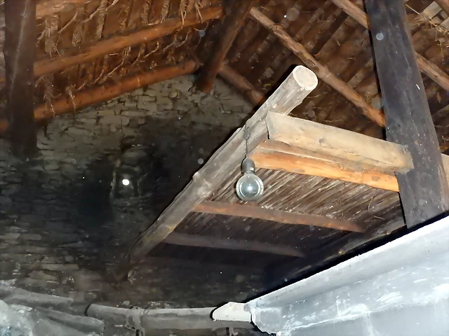 DSCN0350 DSCN0350