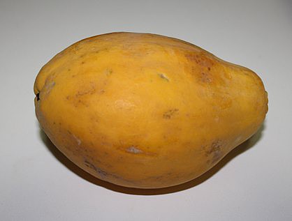 Papaya