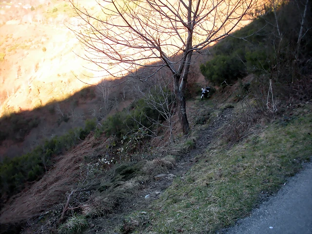 DSCN3016 DSCN3016