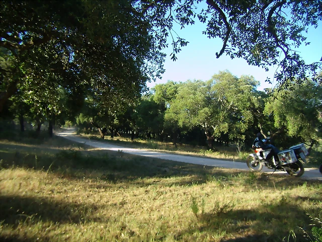 P6100679