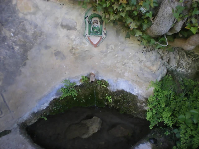 IMGP8708 IMGP8708
