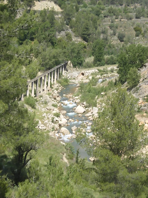 IMGP8715 IMGP8715