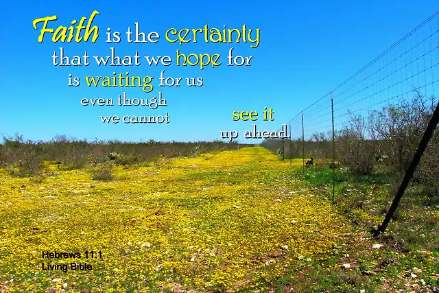 faith_is_the_certainty