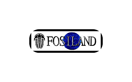 logofosiland-tile logofosiland-tile