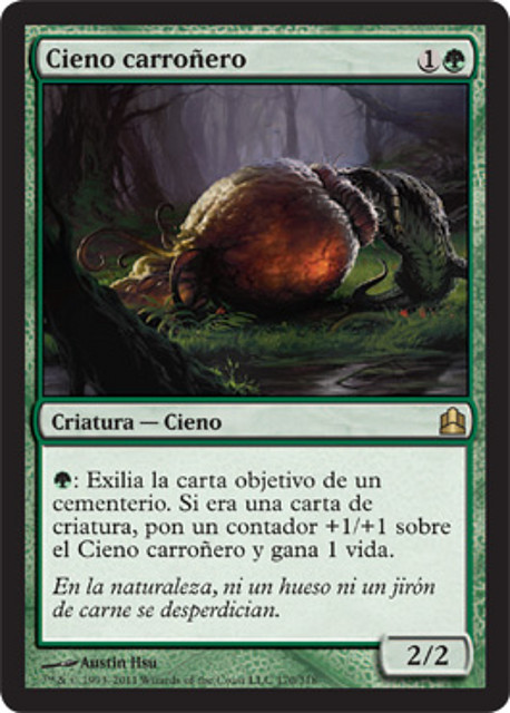 cienocarroniero