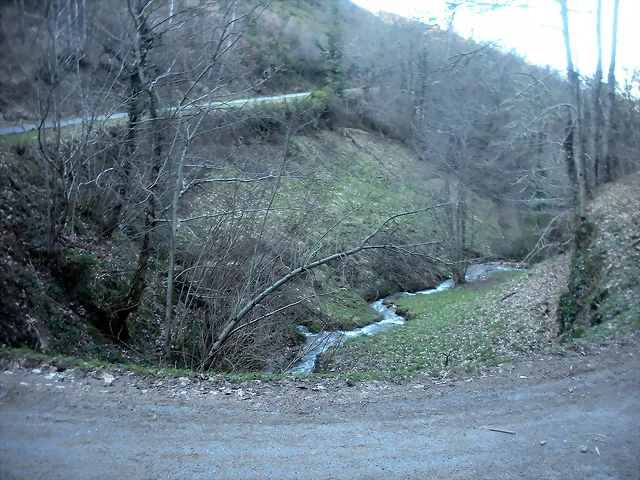 DSCN2975 DSCN2975