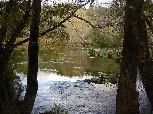 DSCN3748 DSCN3748