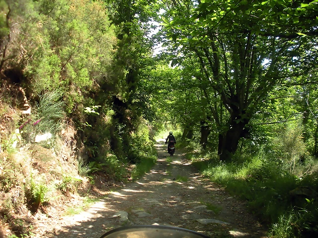 DSCN5770 DSCN5770