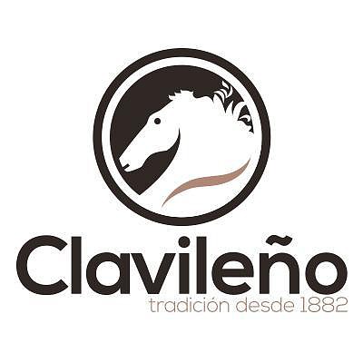 logo clavileo