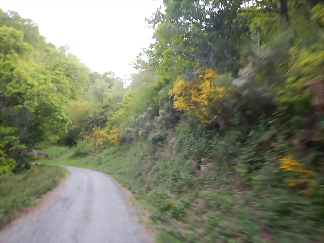 DSCN2143 DSCN2143