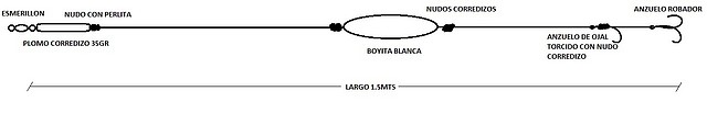 linealenguado