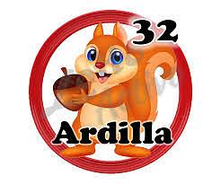 ardilla