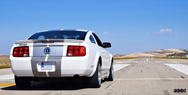 DSC_0611 DSC_0611