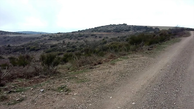 8a 8a