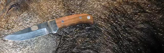 cuchillo MAUSER maDERA1