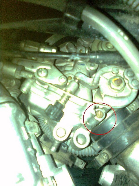 Imatge0389