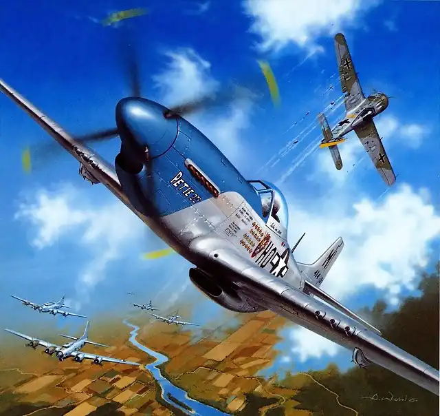 p51dmustangvsfw190arkad