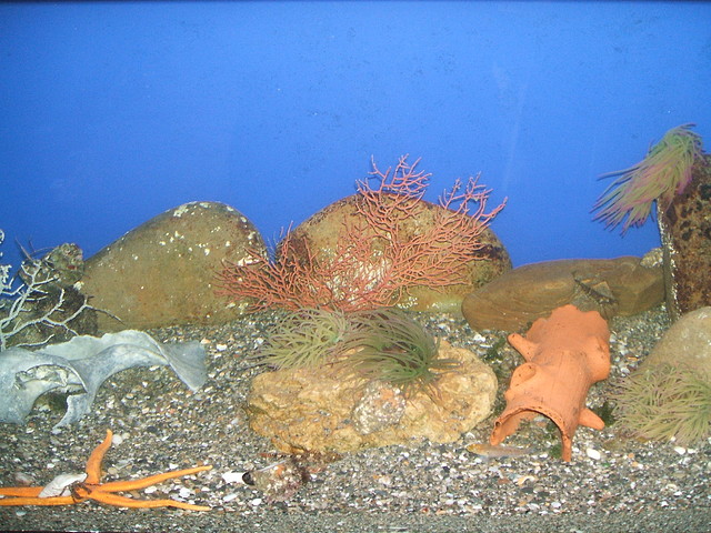 DSCF1321 DSCF1321