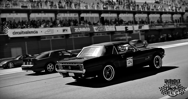DSC_0759 DSC_0759