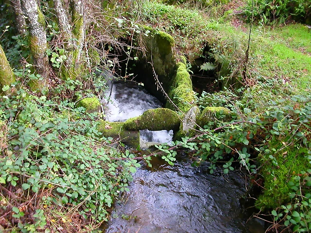 DSCN5759 DSCN5759